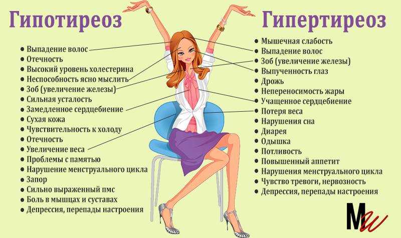 Тиреотропный гормон, ттг – результат, норма, повышен при беременности | сдать анализ ттг, т3 и т4