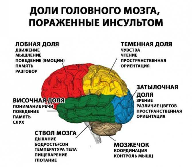 Как восстановить нервную систему после коронавируса