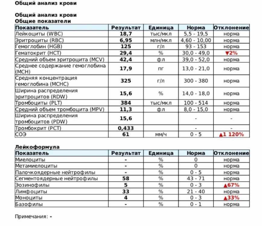 Норма эритроцитов в крови у женщин