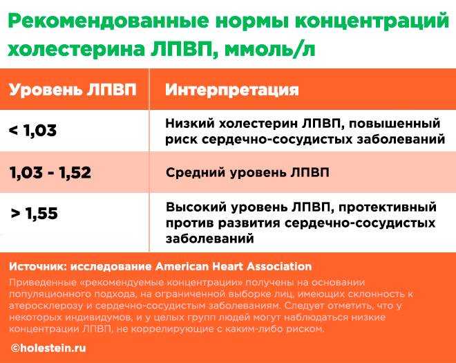 Общий холестерин (cholesterol total)