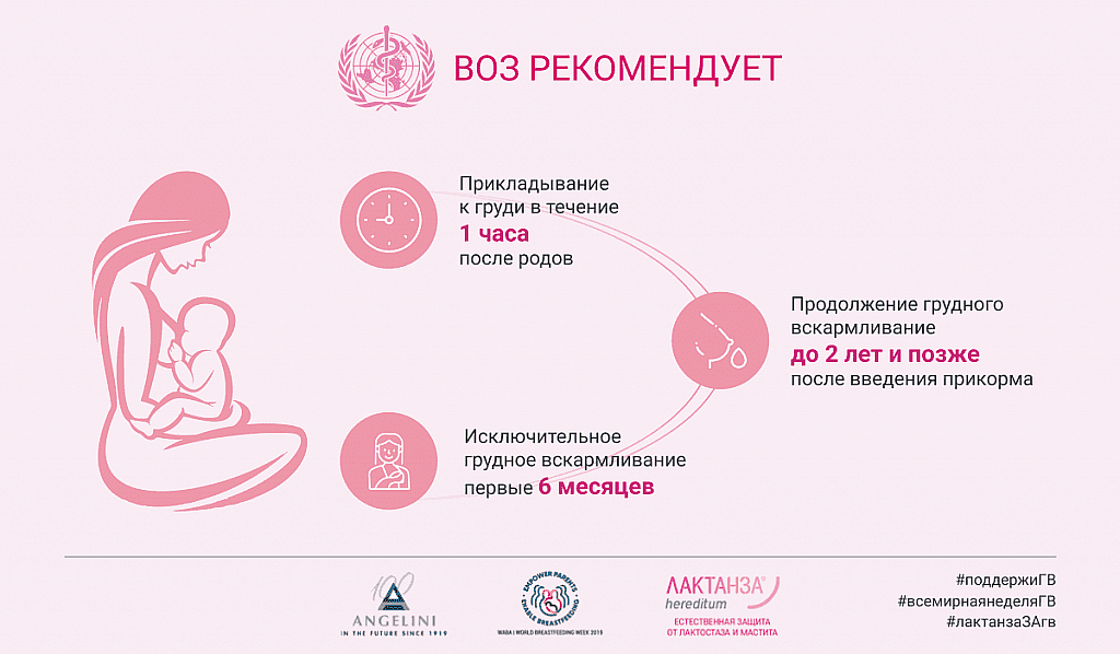 Способы завершения грудного вскармливания - agulife.ru