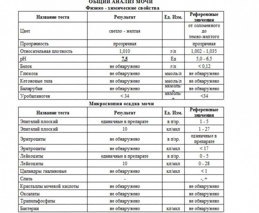 Белок в моче: причины появления белка в моче, консультация уролога в клинике