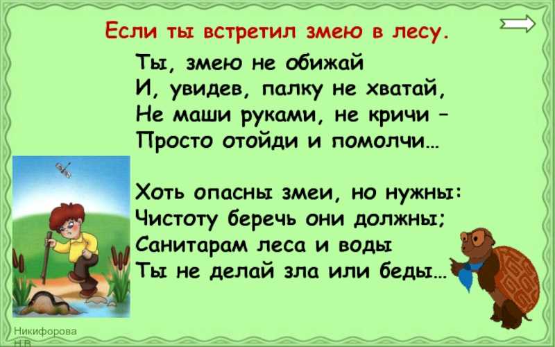 Первая помощь при укусе змеи