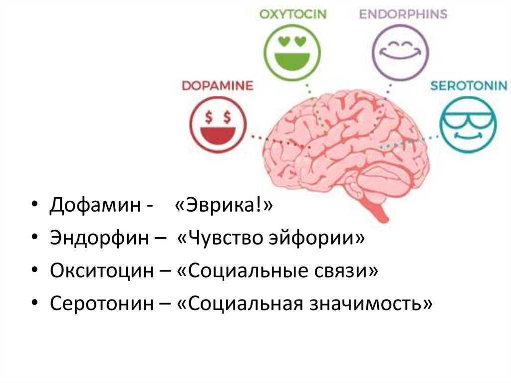 Гармония в душе: как ее обрести? 7 шагов к равновесию внутри себя