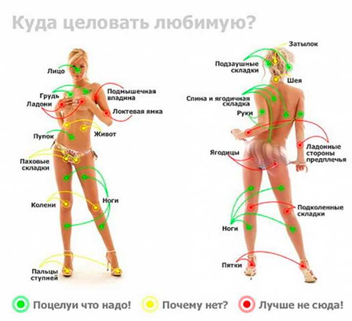 Эрогенные зоны на теле у мужчины и женщины. секреты любви. даосская практика для женщин и мужчин