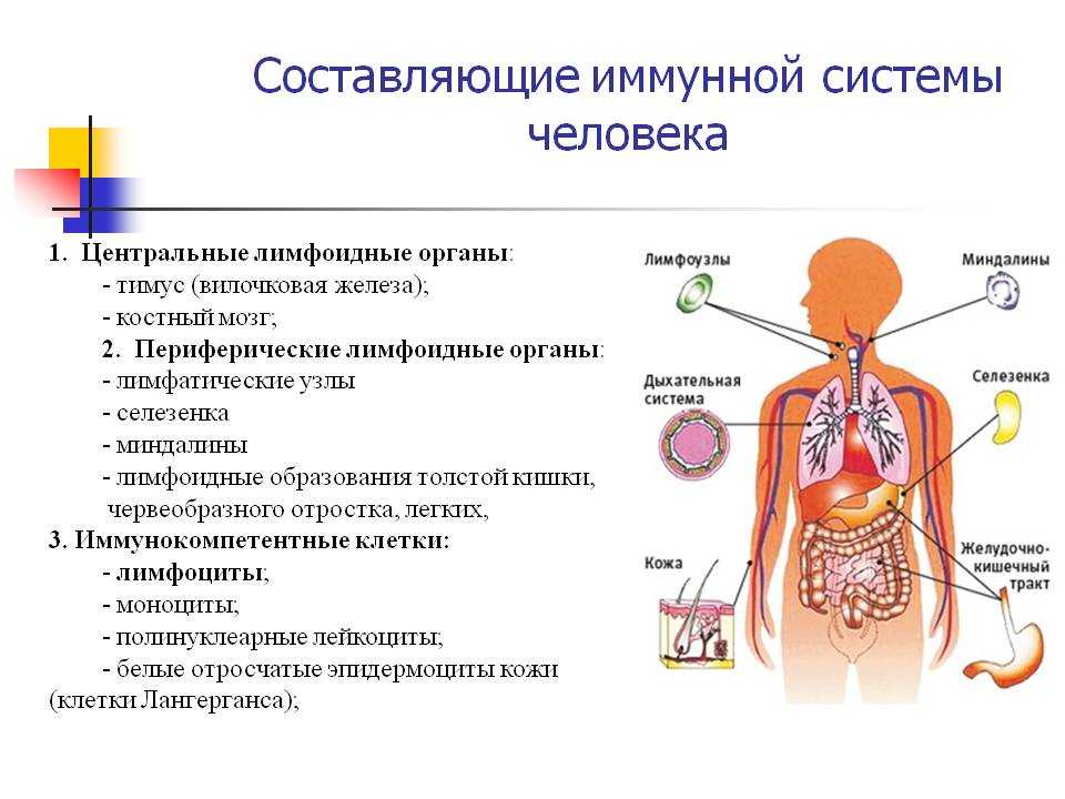 Аутоиммунные болезни от нервов: уже доказано! | новости медицины