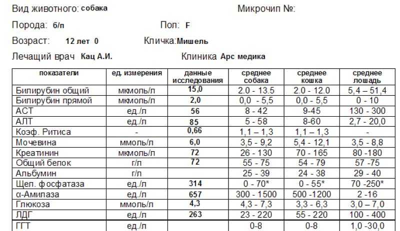 Интерпретация результатов биохимического исследования крови и корреляции показателей