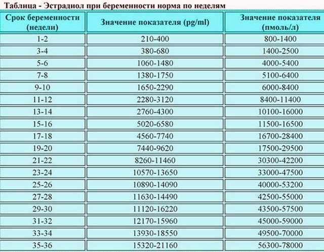 Эстрадиол в женском и мужском организме