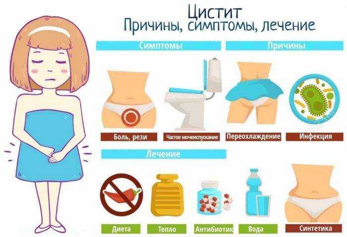Что можно и нельзя делать при цистите? симптомы, признаки, обострения
