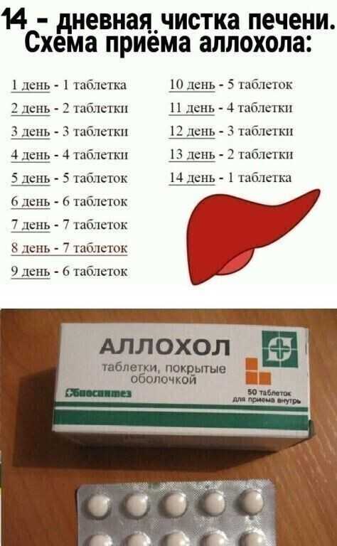 Как защитить печень в праздники