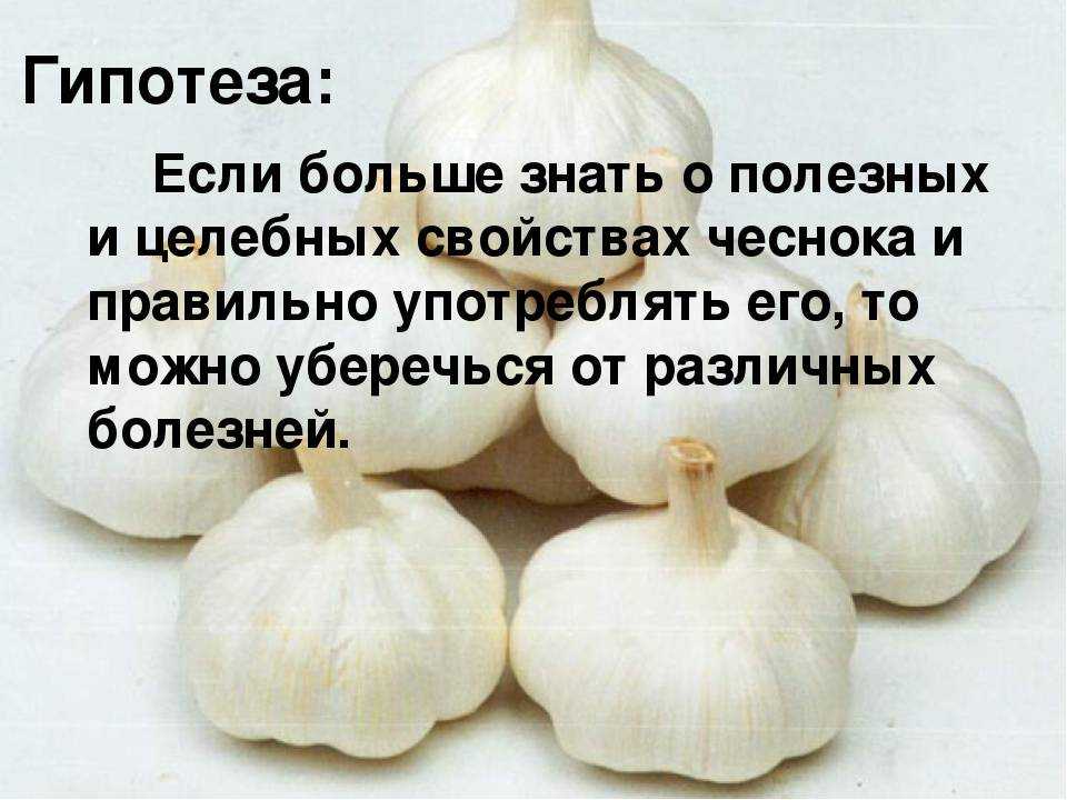 Особенности лукового меда