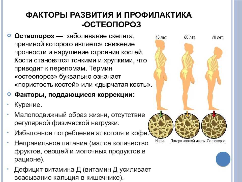 10 мифов и фактов о метаболизме: откуда берется лишний вес и как его убрать?