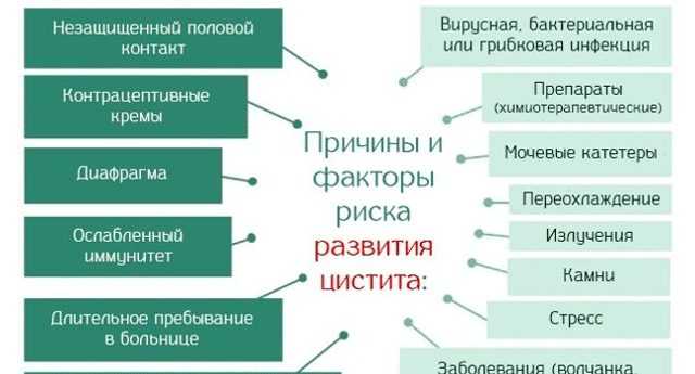 Цистит после секса у женщин симптомы и лечение. посткоитальный цистит.