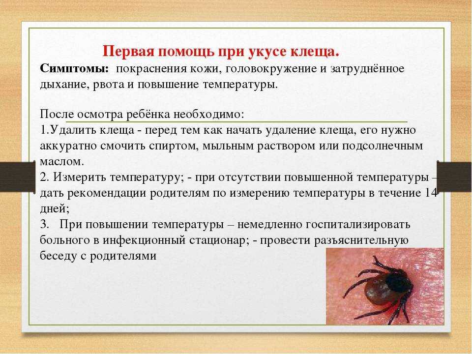 Клещевой боррелиоз - симптомы, признаки и причины болезни лайма
