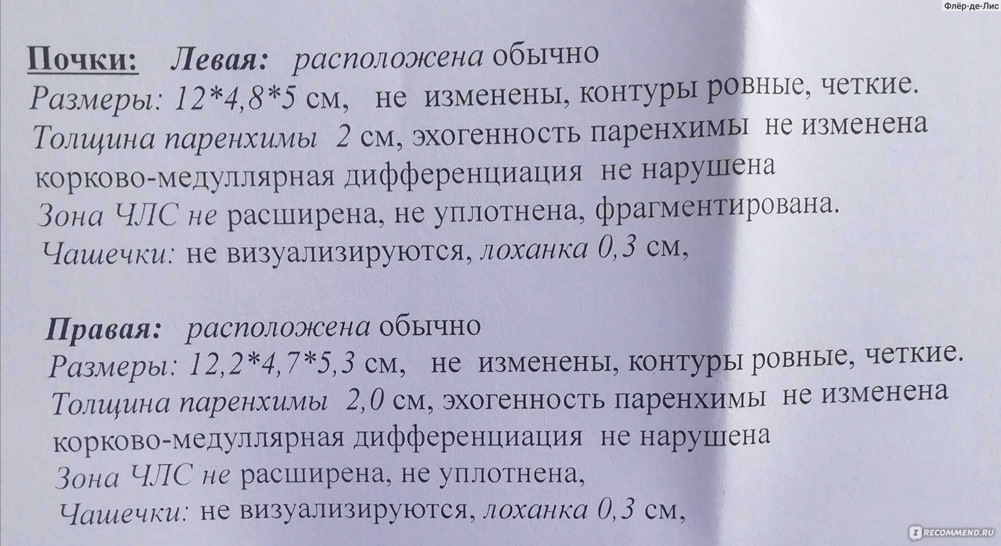 Подготовка узи почек