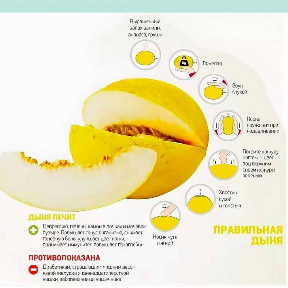 Дыня: виды и польза | food and health