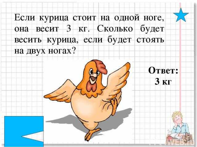 1 курица весит. Курица на одной ноге весит. Сколько весит курица на одной ноге. Сколько весит курица.