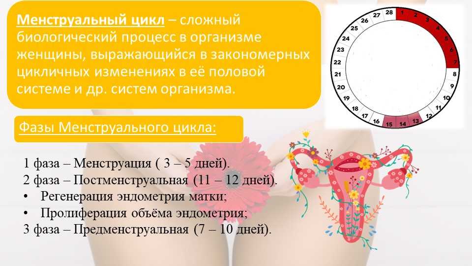 Месячные у женщин: когда менструация превращается в критические дни * клиника диана в санкт-петербурге