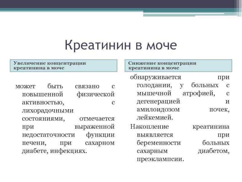 Повышенный креатинин в крови у мужчин: причины, лечение