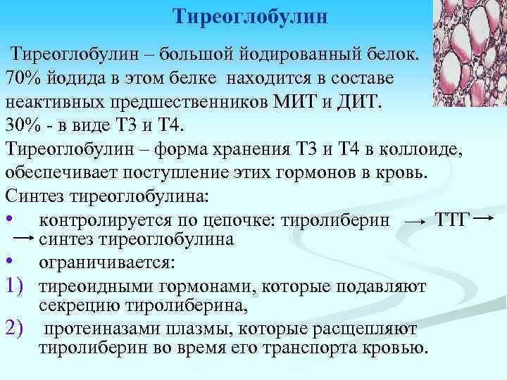 Тиреоглобулин повышен