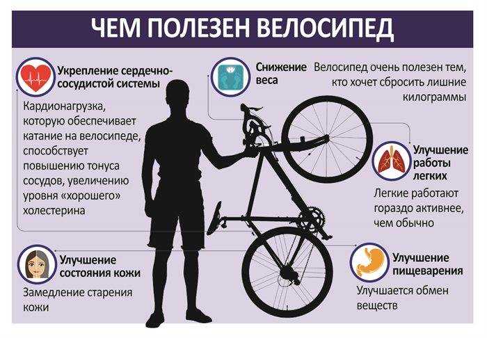 7 фактов о пользе и вреде велотренажера для здоровья, при каких заболеваниях его нельзя использовать?