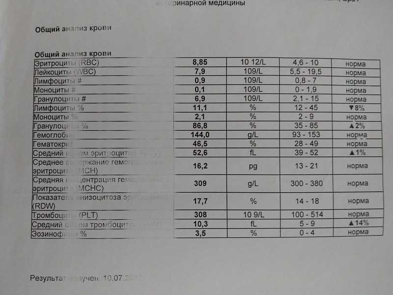 Расшифровка анализа крови онлайн бесплатно по фото без регистрации и смс