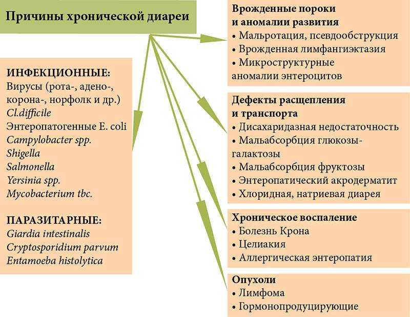 Средство от диареи у взрослых — как правильно лечить диарею? советы по профилактике и диете