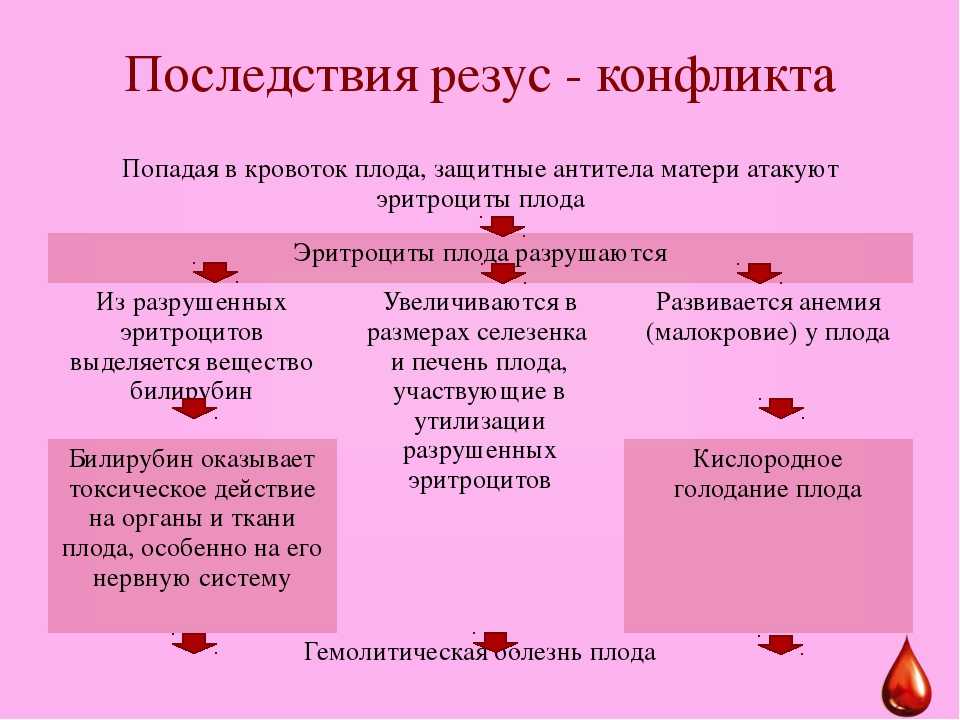 Беременность и резус