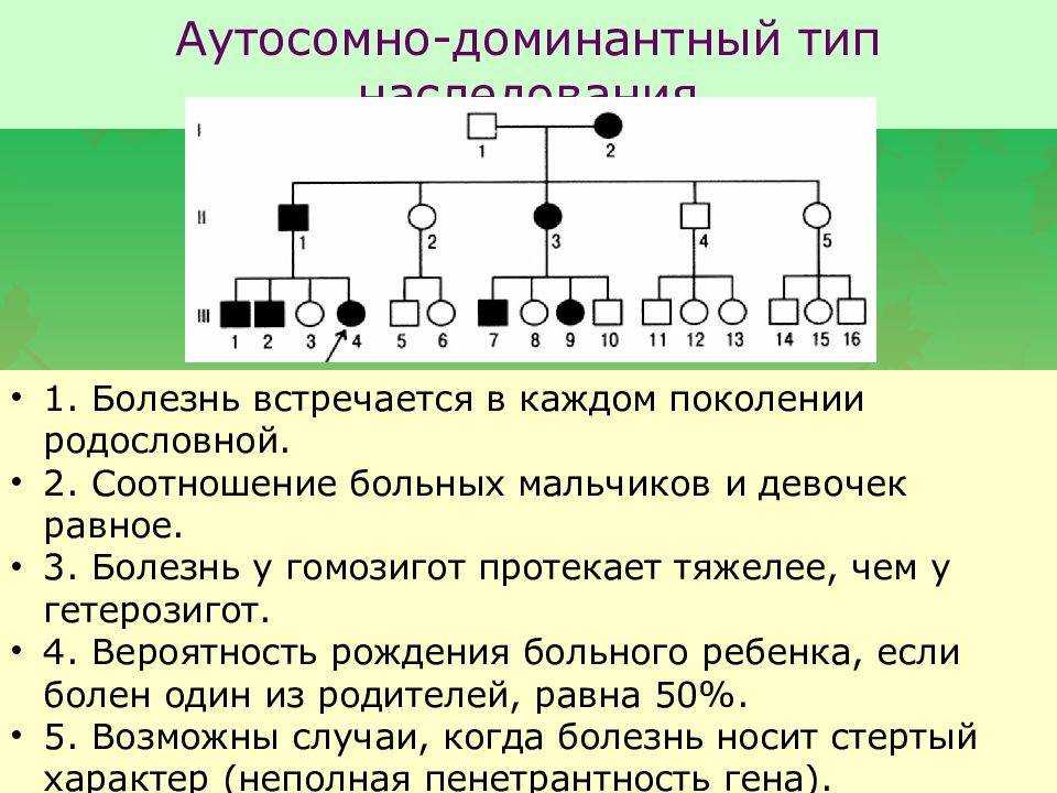 Консультация врача-генетика