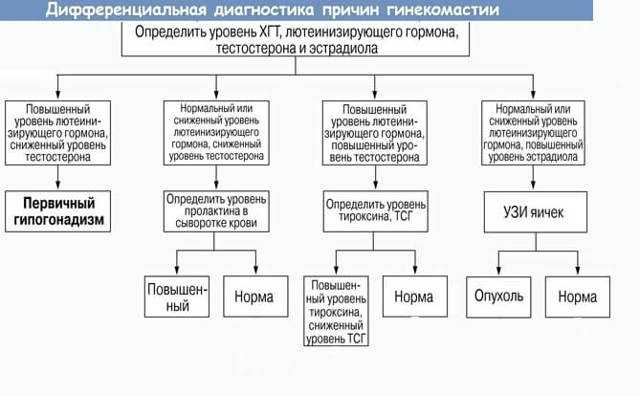 Гинекомастия