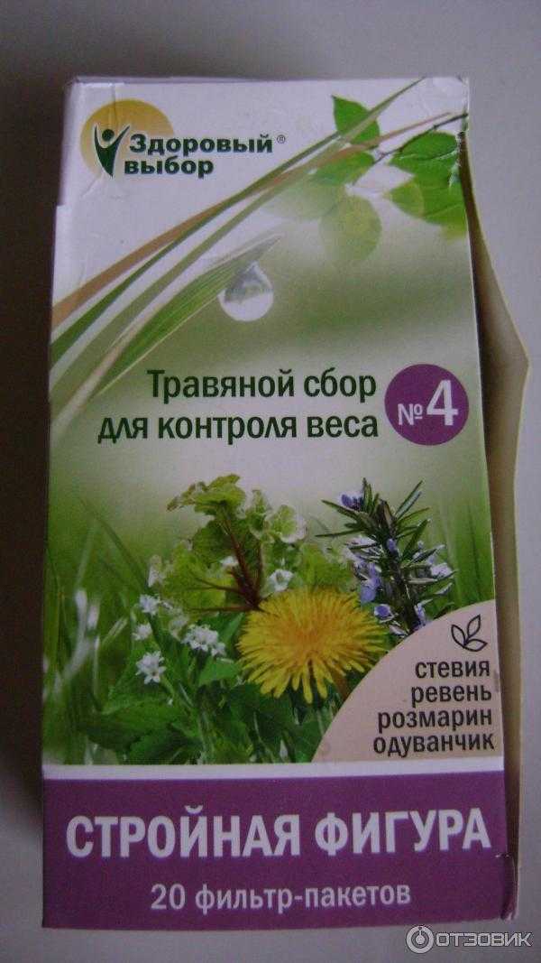 Обзор трав, эффективно снижающих аппетит и подавляющих чувство голода