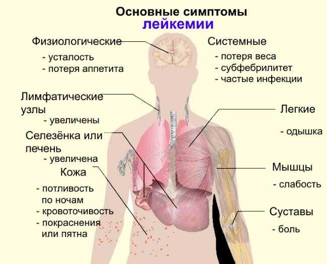 Как диагностировать рак?
