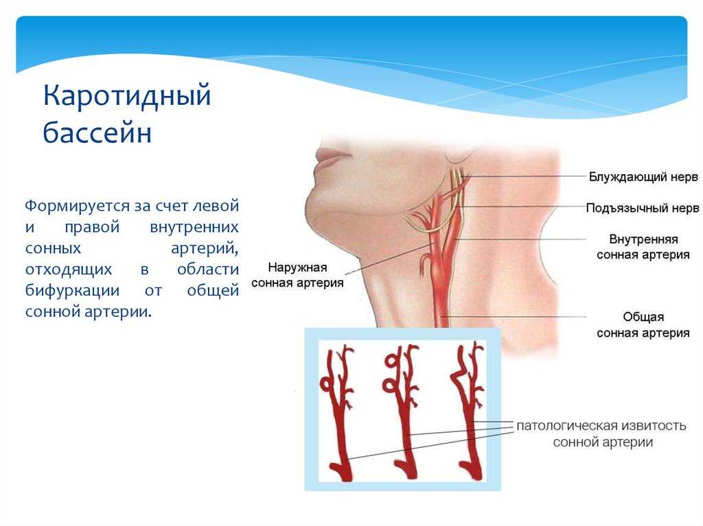 Интерактивное пособие