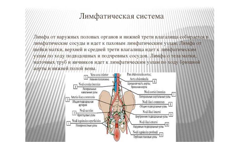Симптоматические лимфатические кисты после онкоурологических операций на органах малого таза и влияние их анатомической локализации на клиническую картину | котов | вестник урологии