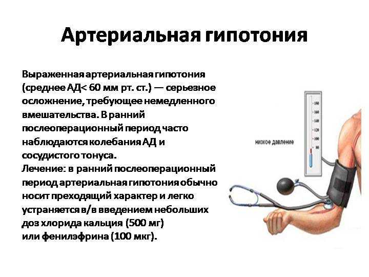 Артериальное давление – норма и патология | mgb1-74.ru