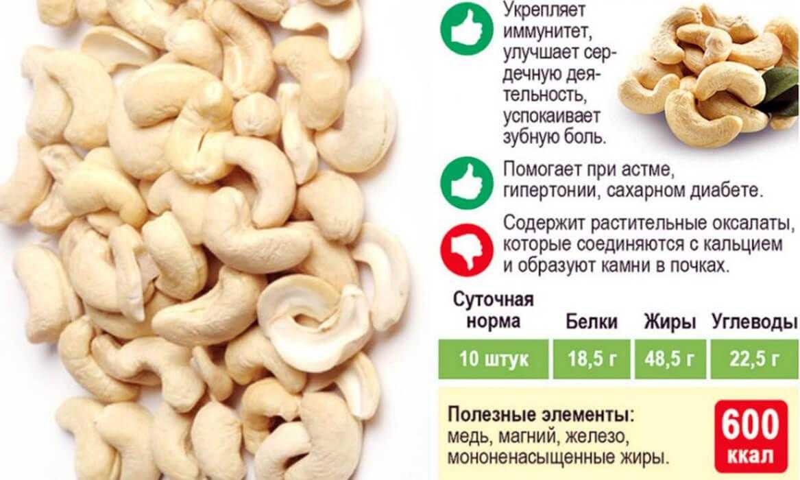 О пользе и вреде орехов кешью