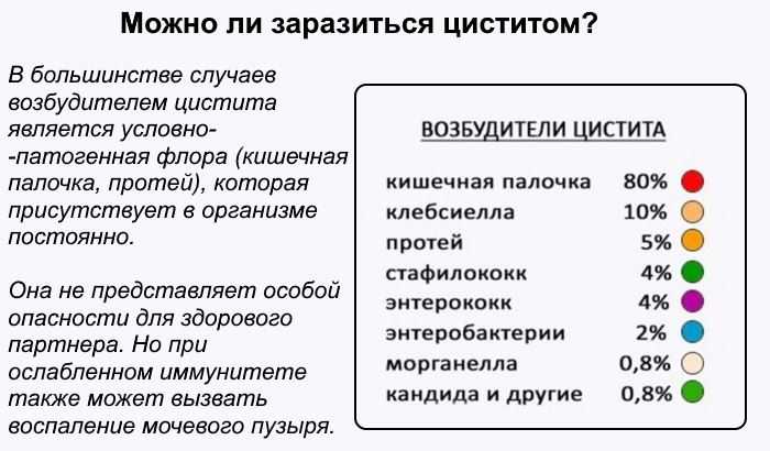 Цистит: причины, симптомы, методы диагностики и лечение цистита