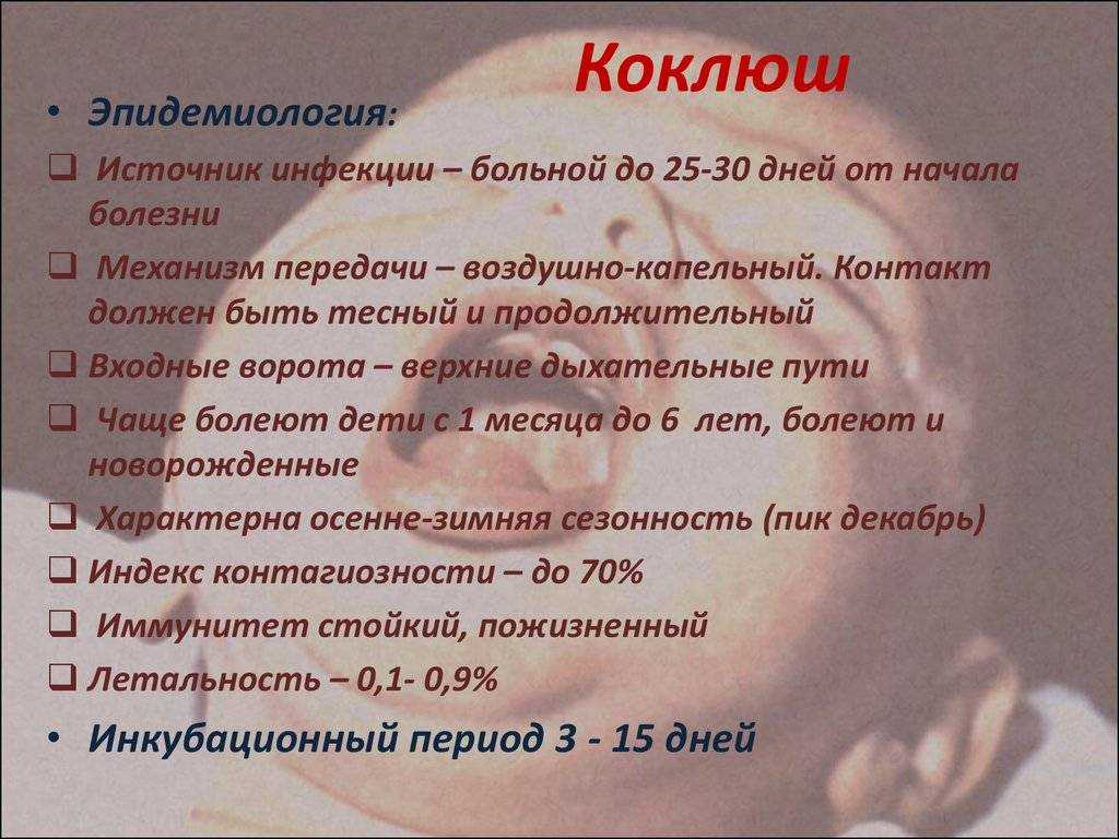 Что такое коклюш