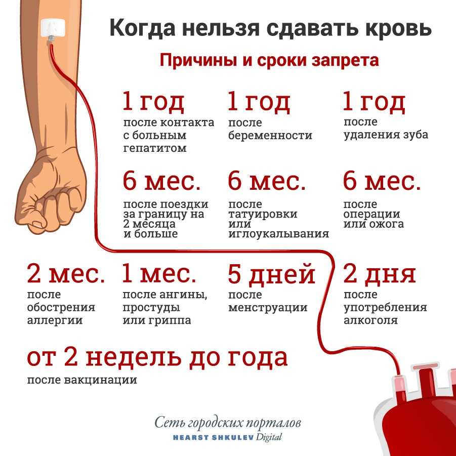 Зожник |   гид по крови. мифы и правда о донорстве