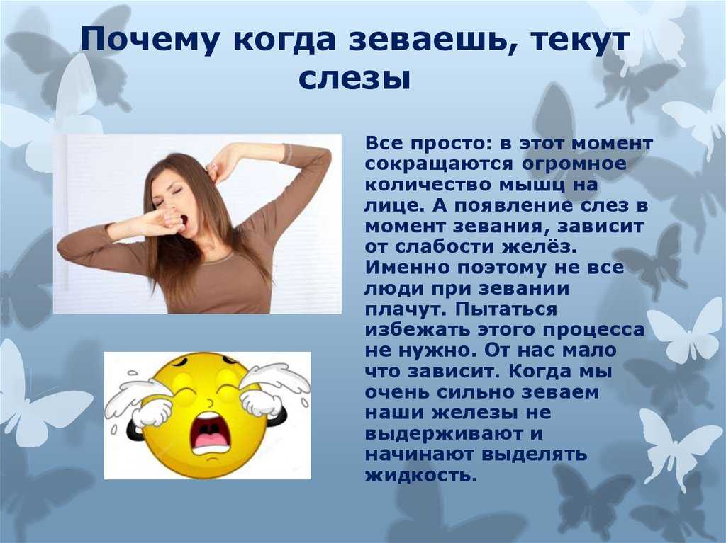 Почему люди зевают проект