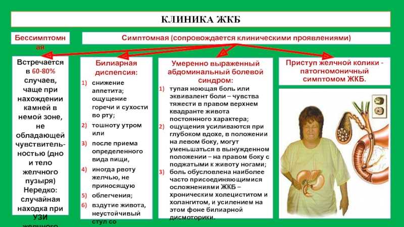 Что такое желчная колика, как болит желчный пузырь? прочитайте про симптомы камней в желчном пузыре. когда обращаться к врачу? – напоправку