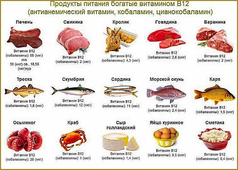 Наша таблица витаминов в продуктах питания, витамин а, б, б6, в, д, д3, в2, в12, е, с, к2, ц, в каких продуктах полная и бесплатная таблица