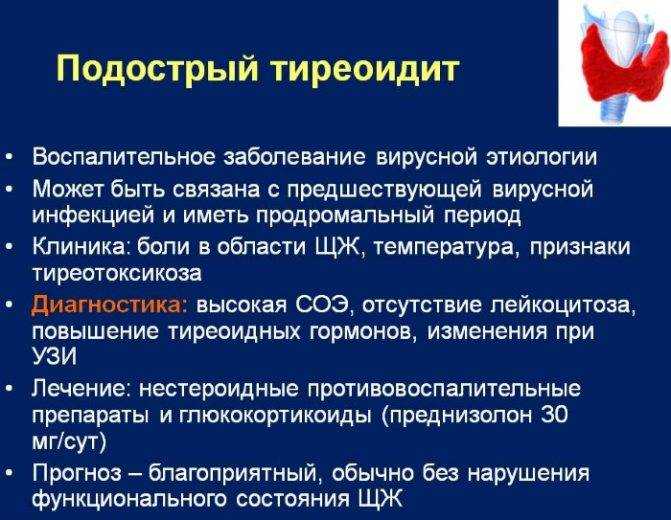 Тиреоидит хашимото, симптомы и как лечить | столетник