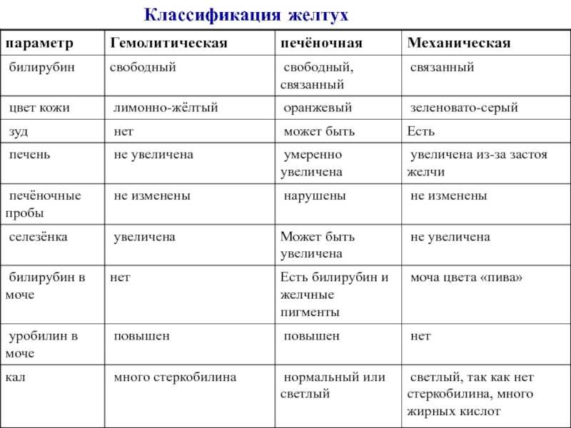 Билирубин при механической желтухе