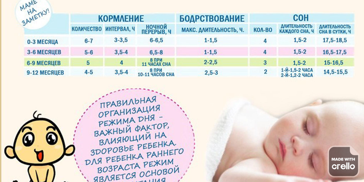 Режим кормления новорожденного | heinz baby