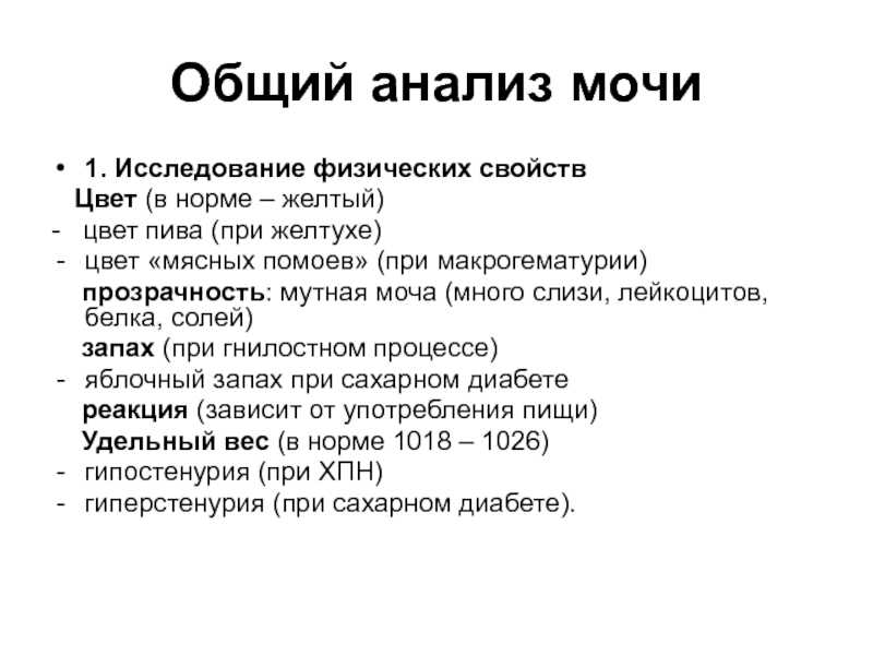 Общий анализ мочи