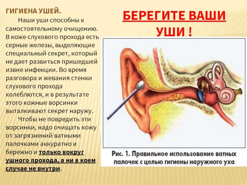 Отоларинголог: кто это такой и что лечит?