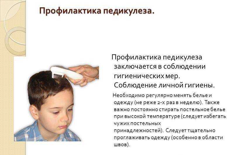 Отчего появляются головные вши: признаки, какие заболевания переносят и как вывести.