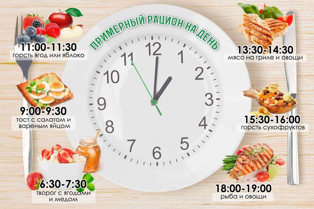 Полезно ли есть несколько раз в день небольшими порциями?