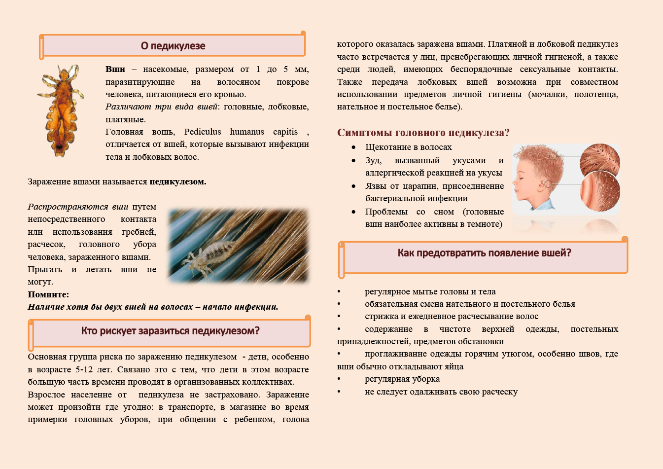Вши у ребенка - чем лечить педикулез у детей: препараты, откуда берутся гниды и чем их выводить